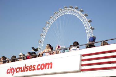Tootbus Must See London: hop-on hop-off bustour met cruise